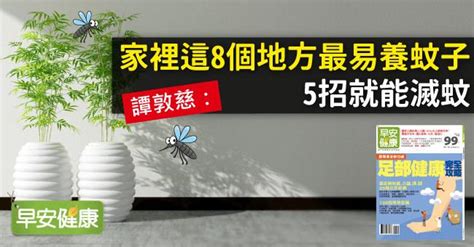 房間有蚊子原因|譚敦慈：家裡這8個地方最易養蚊子，5招就能滅蚊